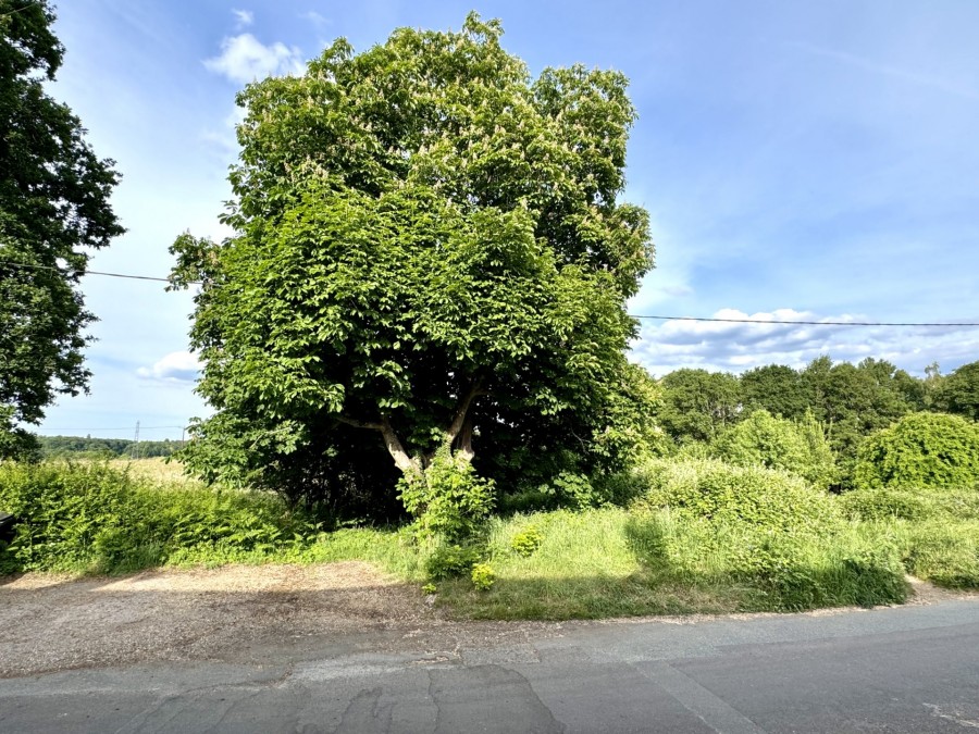 Images for Hunts Cottages, Hunts Common, Hartley Wintney