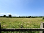 Images for The Hurst, Winchfield