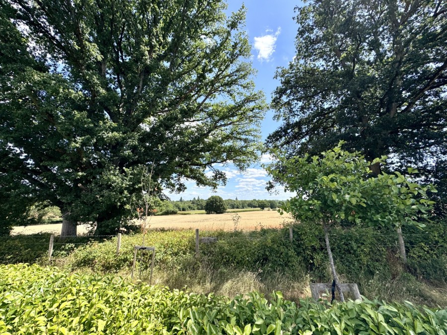 Images for Baldwin Close, Hartley Wintney