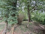 Images for Vicarage Lane, Hound Green