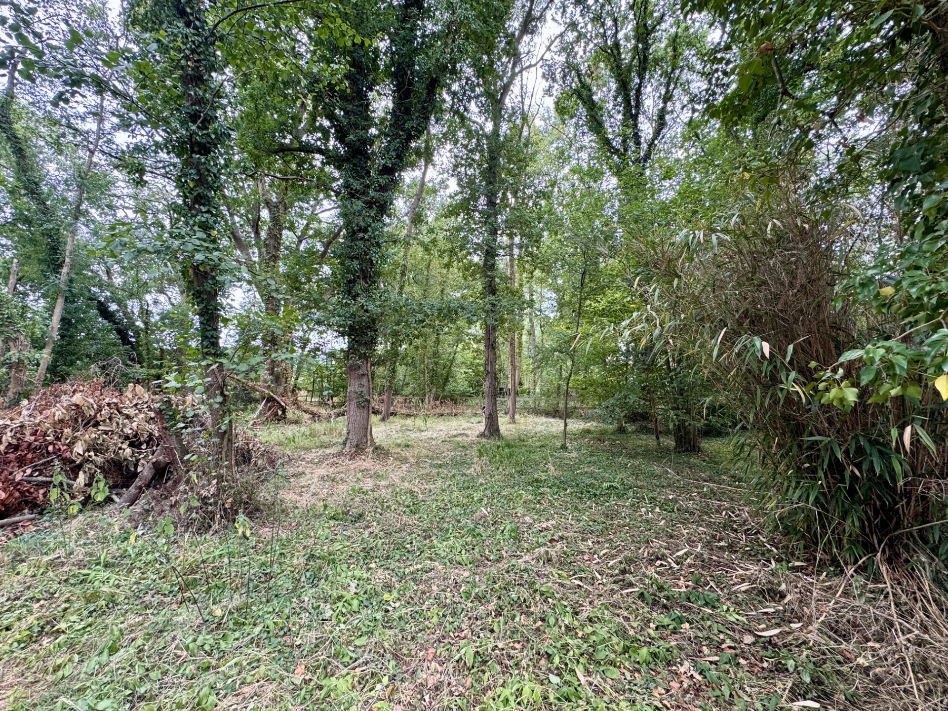 Images for Vicarage Lane, Hound Green