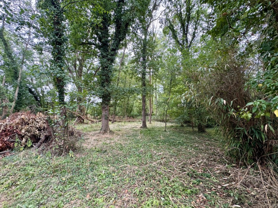 Images for Vicarage Lane, Hound Green