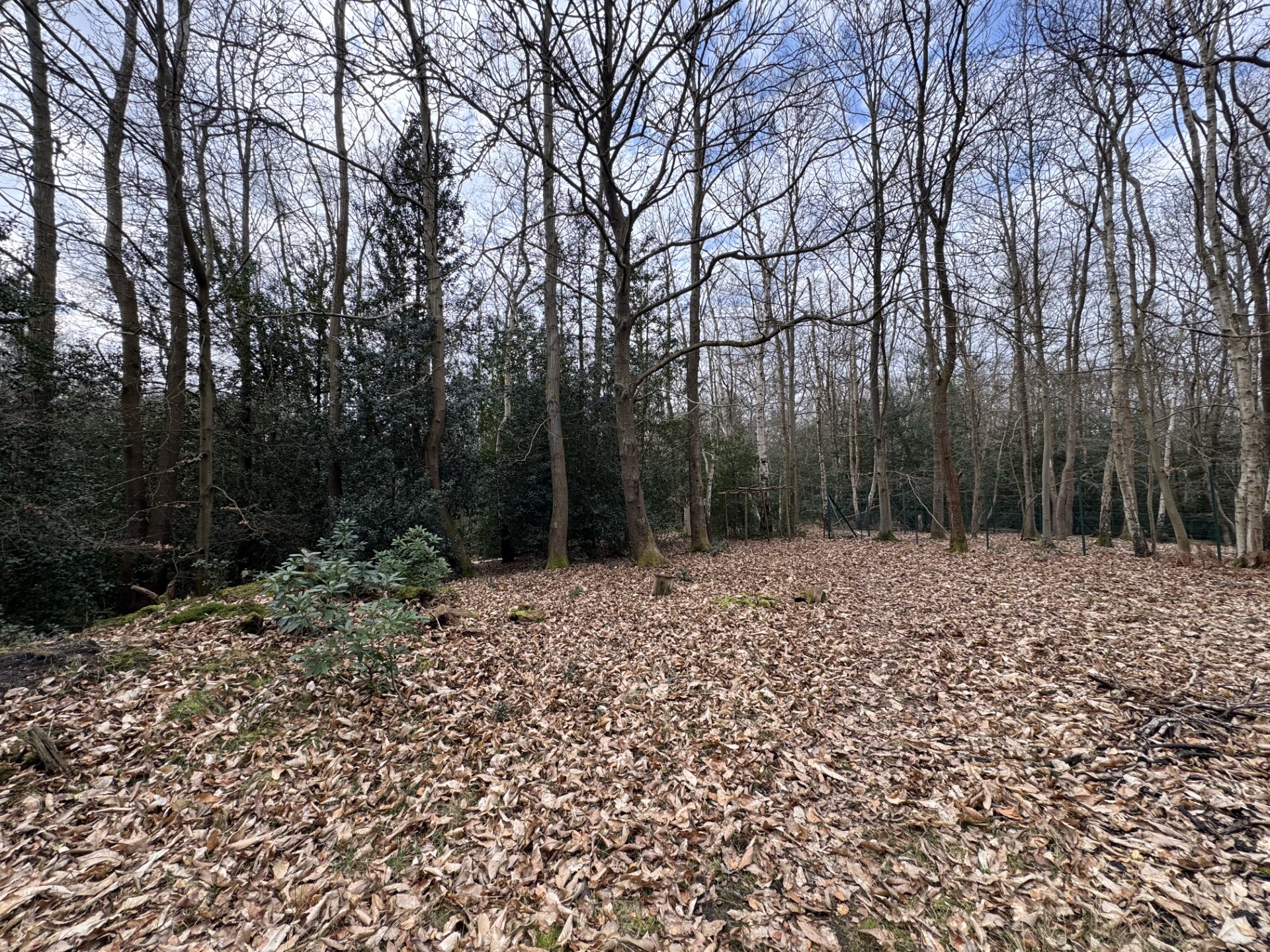 Images for Heath Ride, Finchampstead, Wokingham