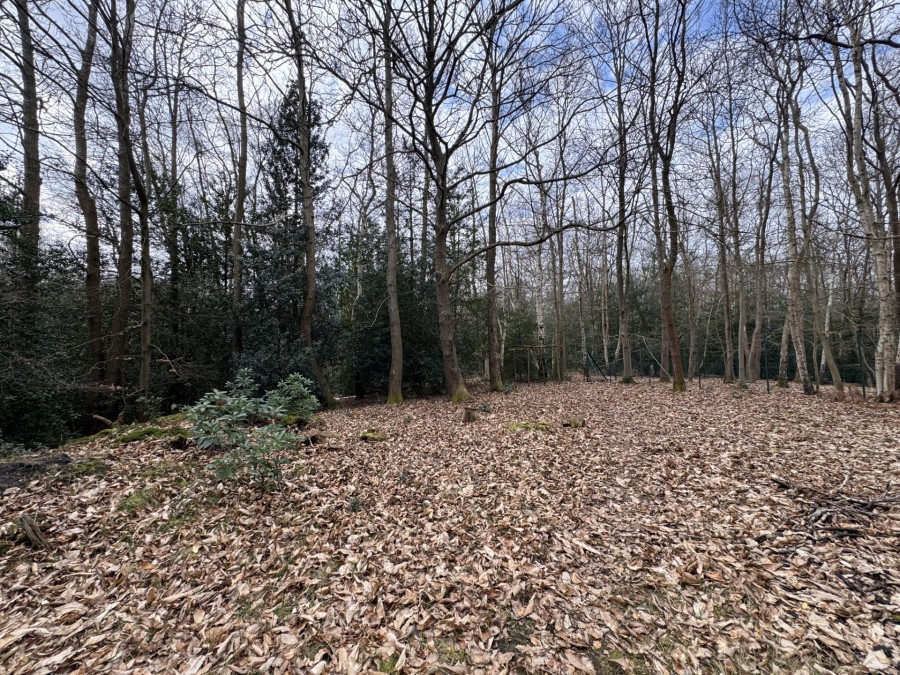 Images for Heath Ride, Finchampstead, Wokingham