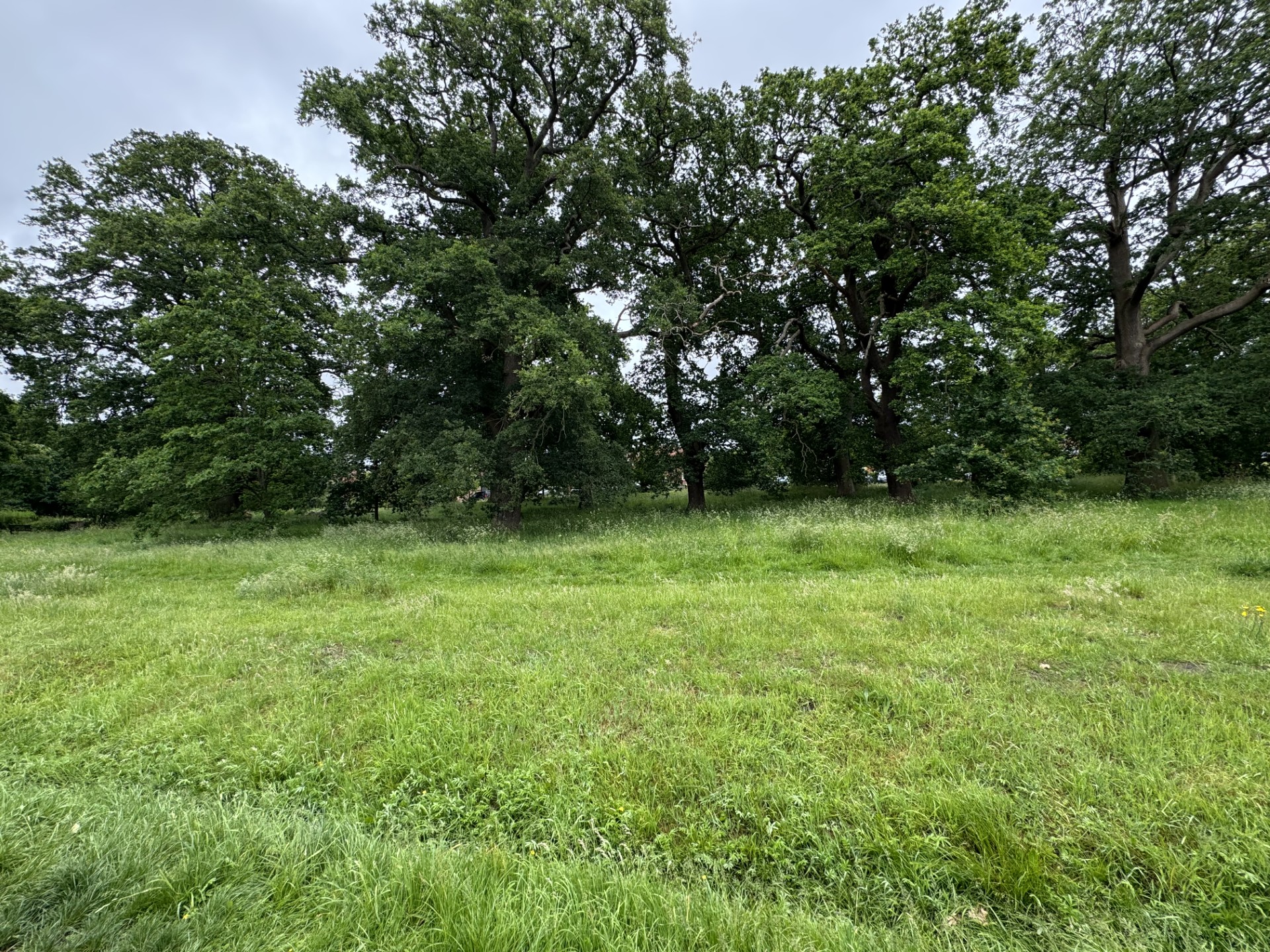 Images for Oaklands, Hartley Wintney