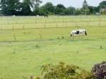 Images for Tarrant Gardens, Hartley Wintney