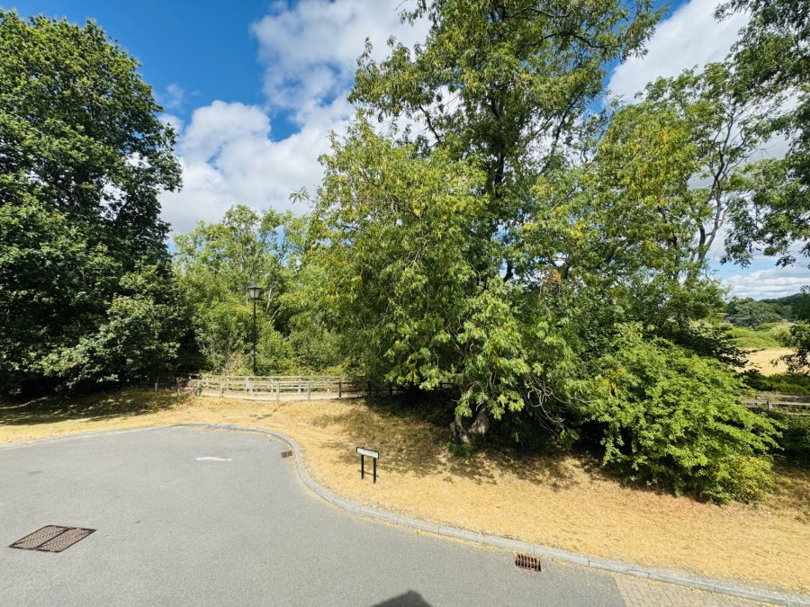 Images for St. Savin, Hartley Wintney